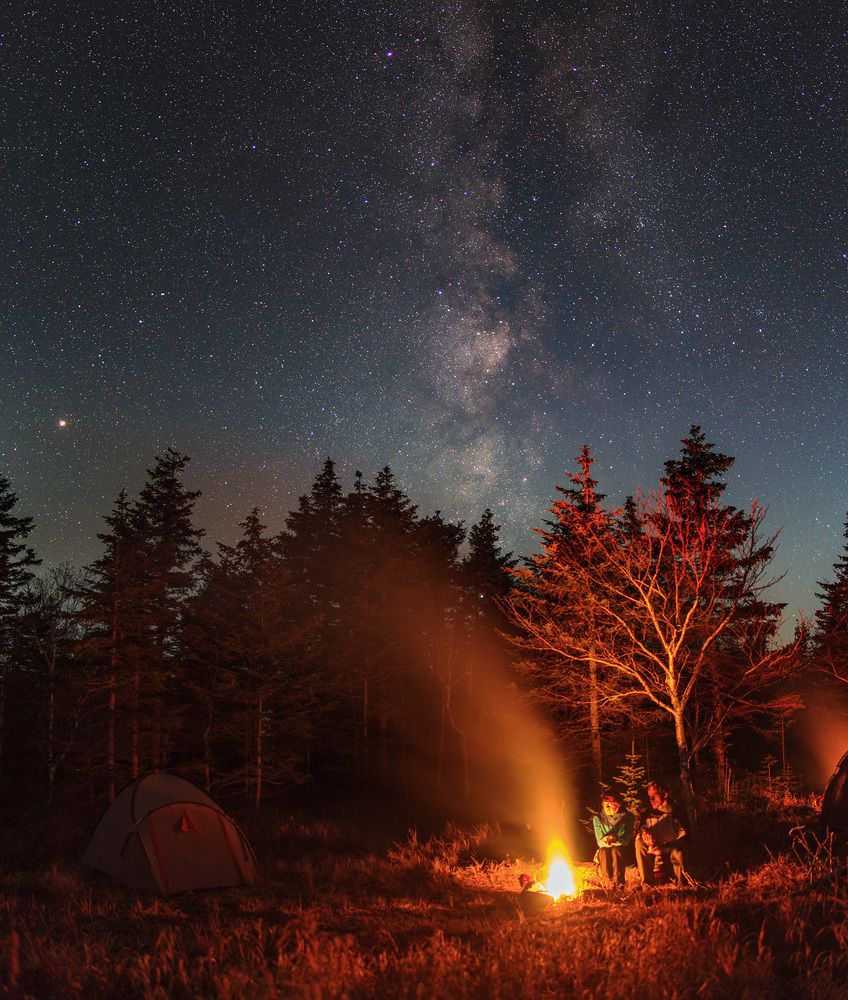 Звездная ночь в тайге