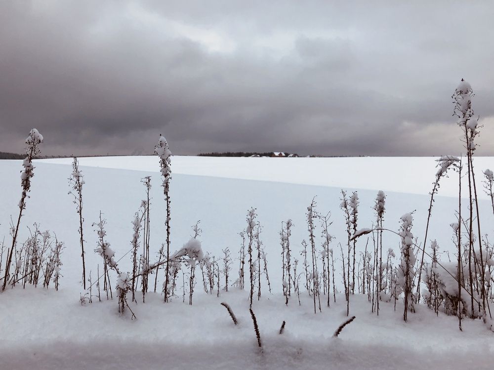 Photograph by Alena Audonina