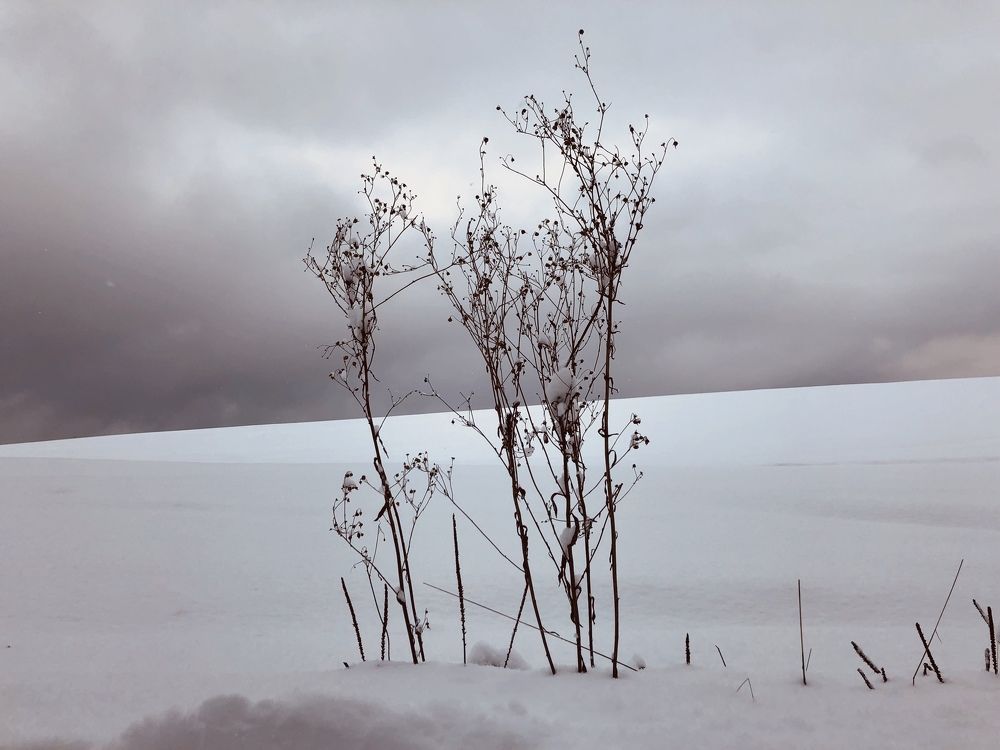 Photograph by Alena Audonina