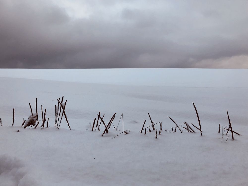 Photograph by Alena Audonina