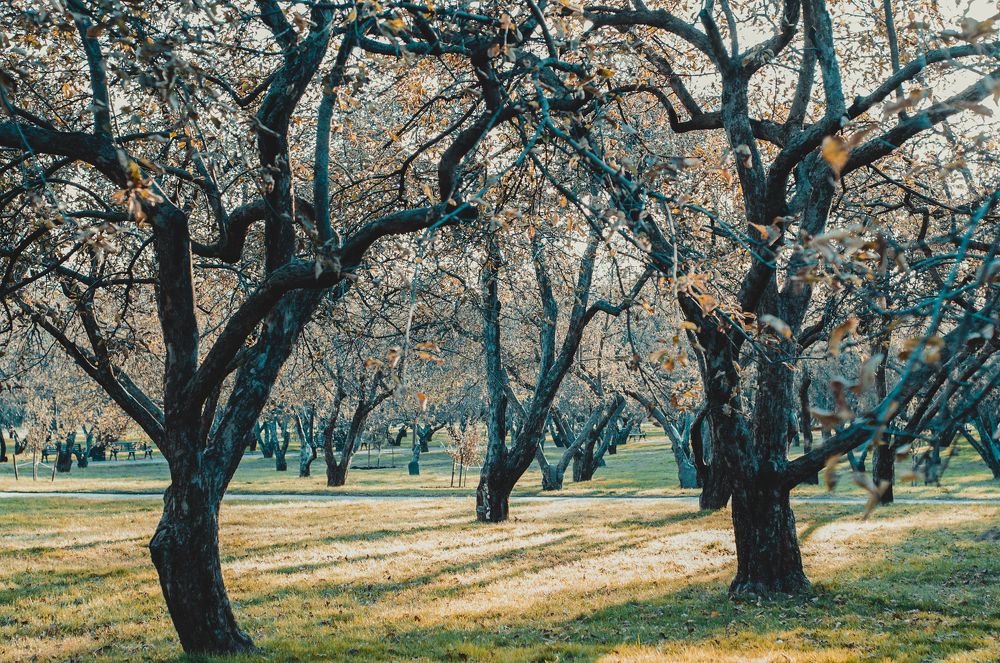 Photograph by Петр Вельчинский