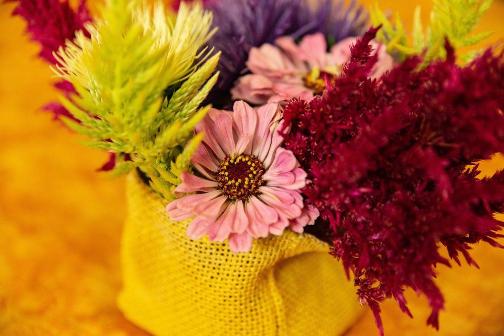 Still life flowers