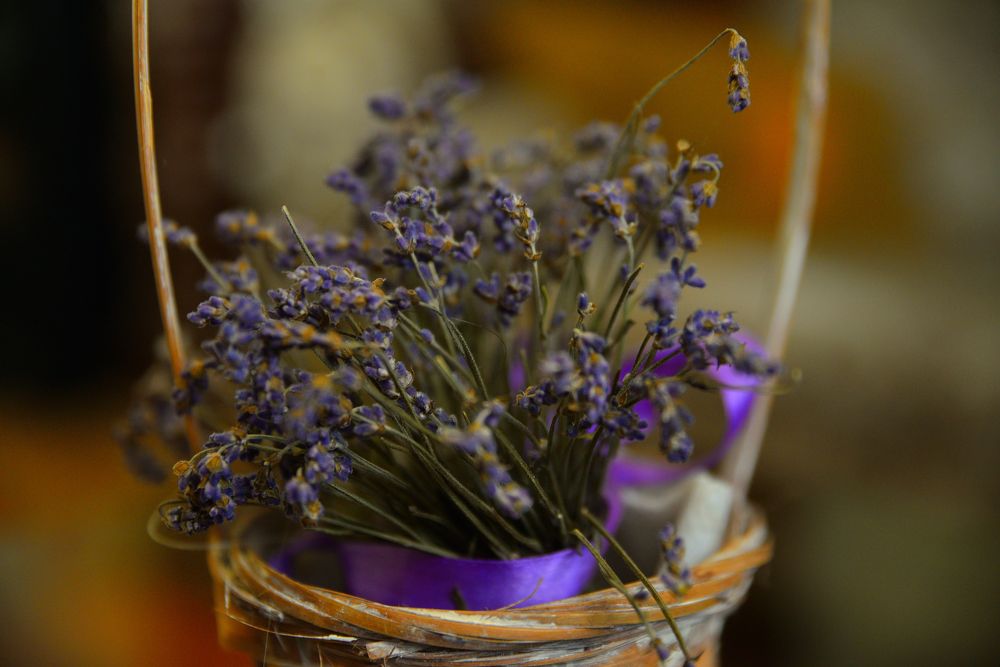 Still life flowers