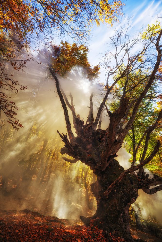 Золотые лучи осени на Демерджи