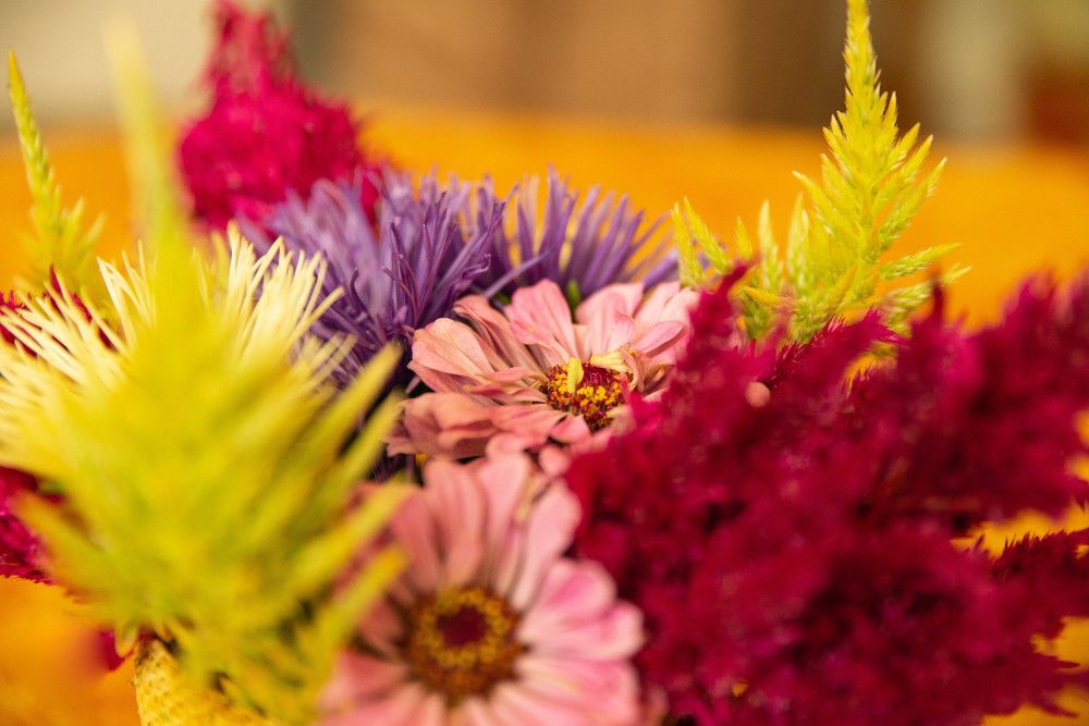 Still life flowers