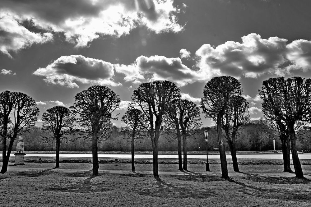 Графский парк в Кусково