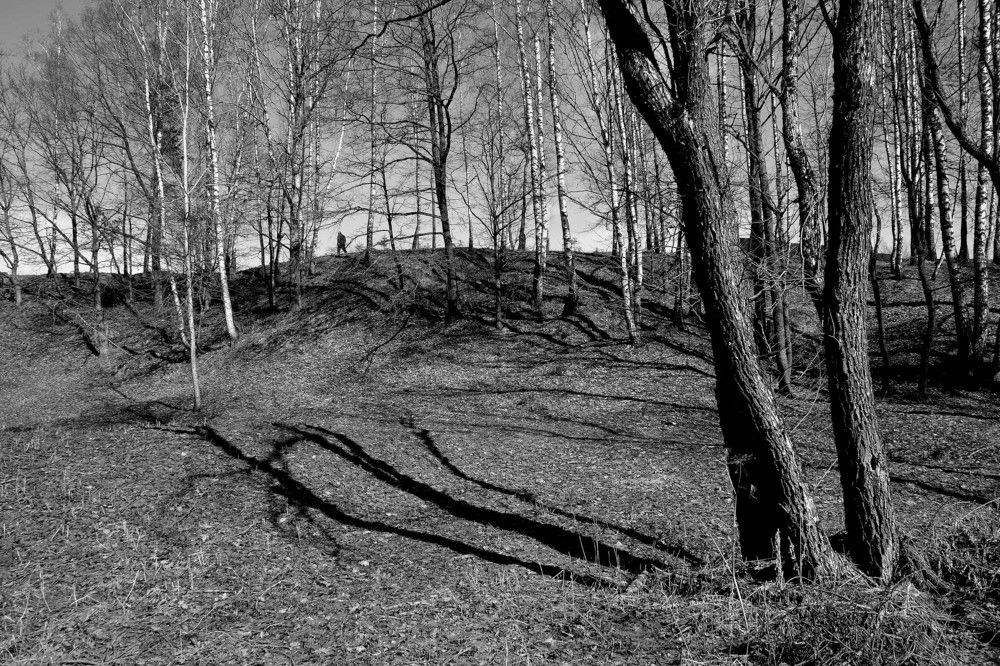 Мартовский свет