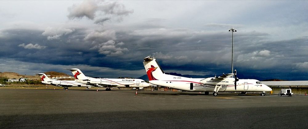 Last flock of Birds of Paradise prepping for late flights