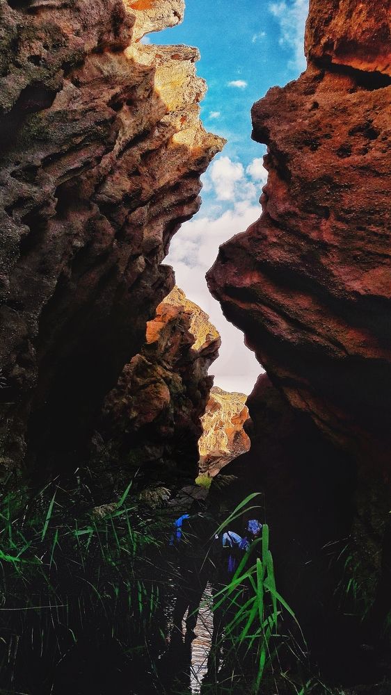 Photograph by Bahram Bayat