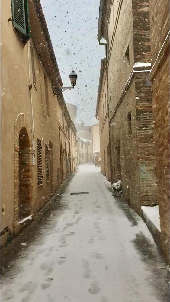 Photograph by Марина Неберекутина