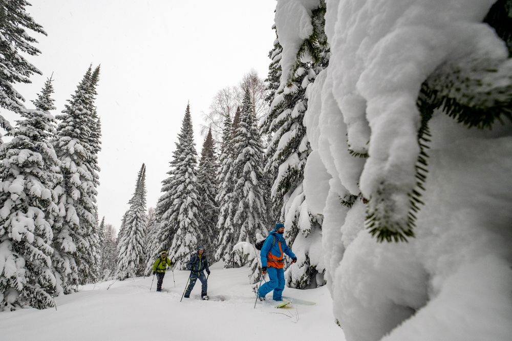 Photograph by Екатерина Климова