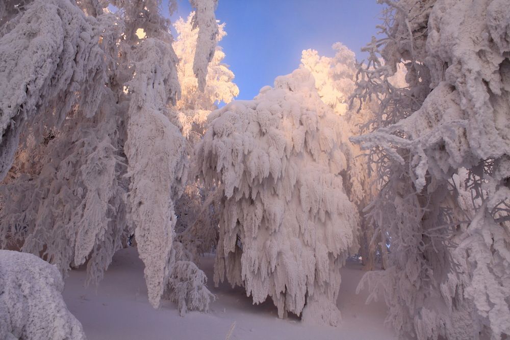 В душе звенят волшебные напевы