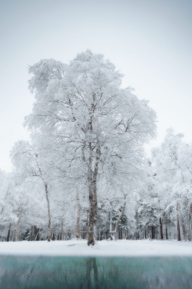 Photograph by Татьяна Беркович