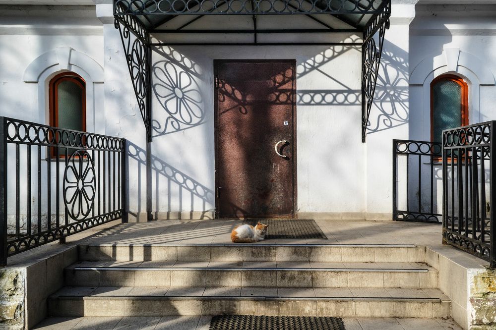 Про кота и ажурные решетки