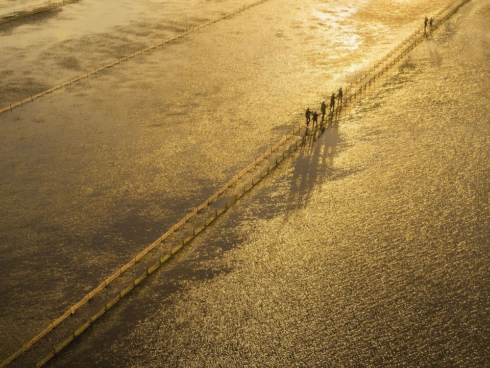 Dong Chau Early morning