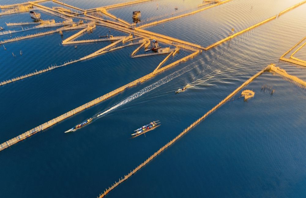 Early morning of Chuồn Lake