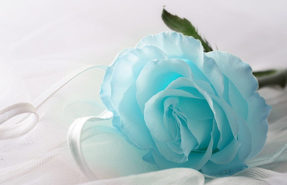 Photograph by Татьяна Беркович