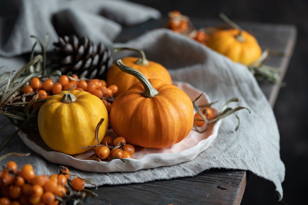 Осенний натюрморт