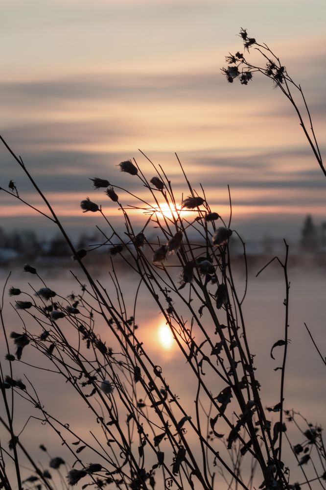 Photograph by Роман Петров