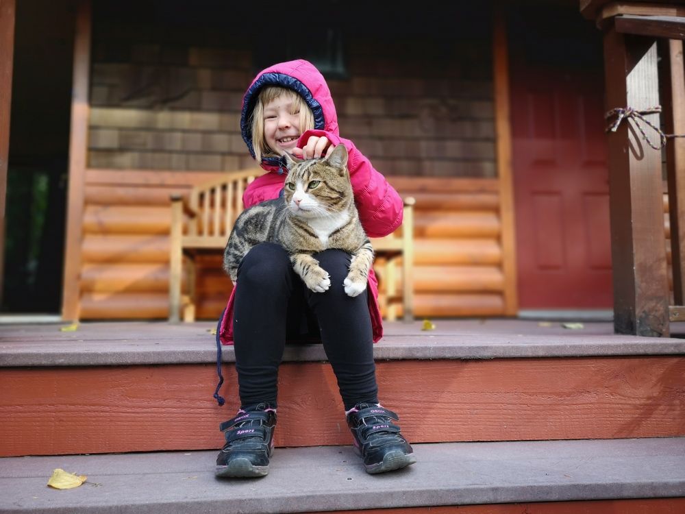 Непосредственность