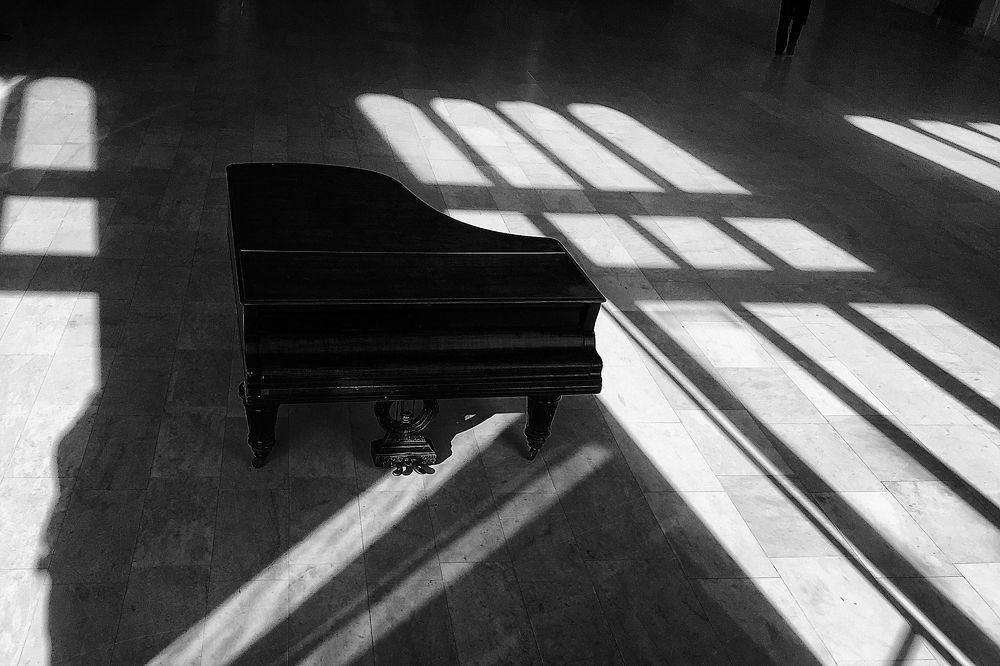 Photograph by Анастасия Ломаева