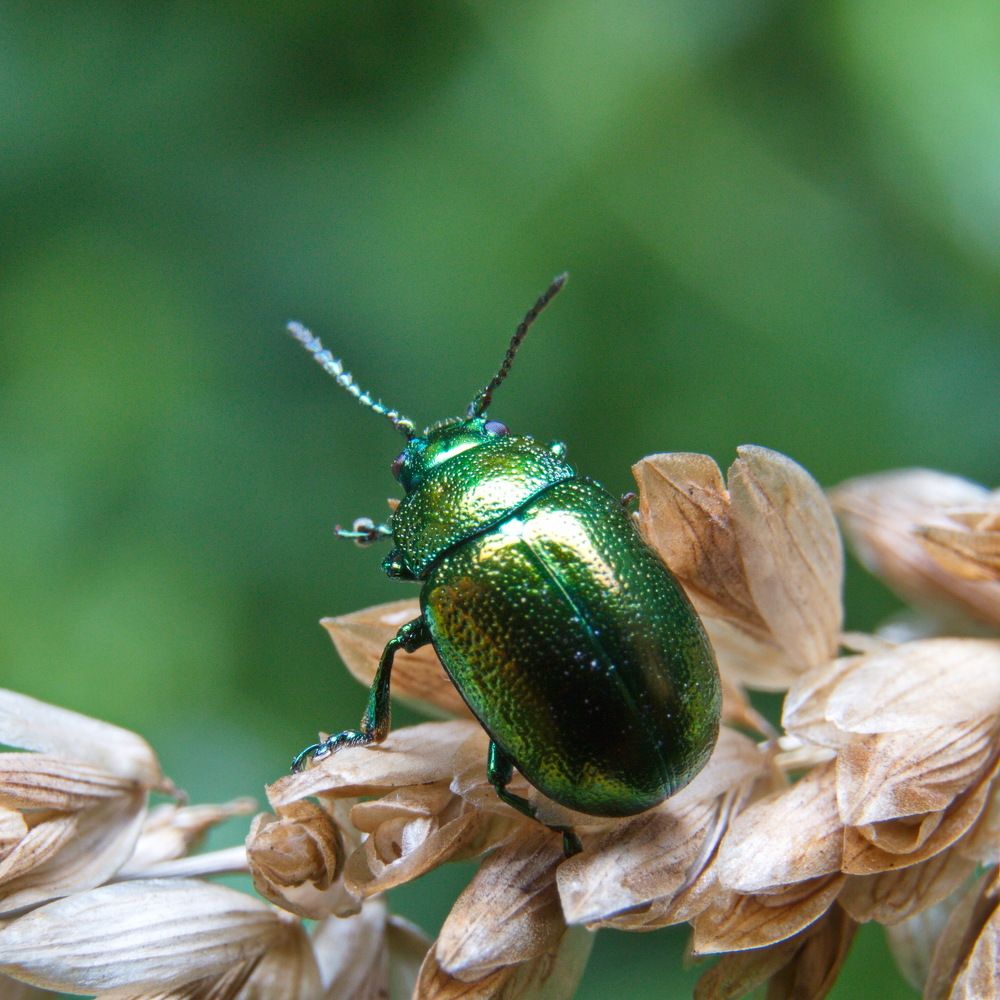 Photograph by Карякин Александр