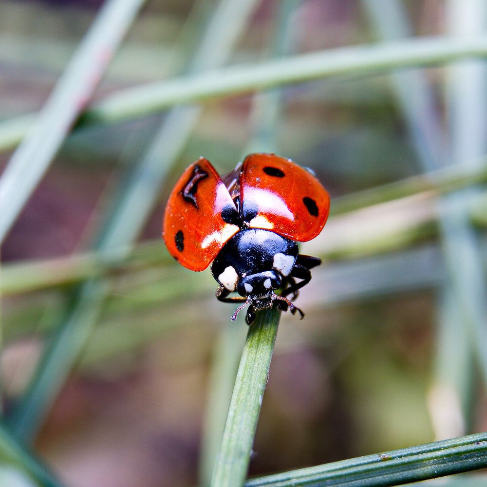Photograph by Карякин Александр
