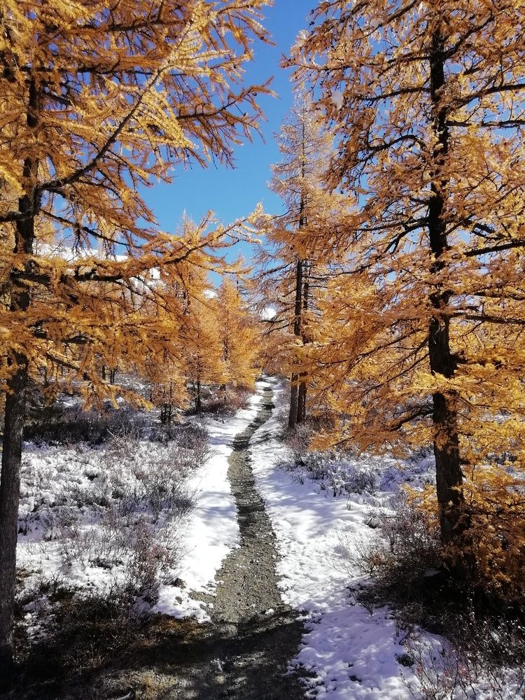 Осень Белуха