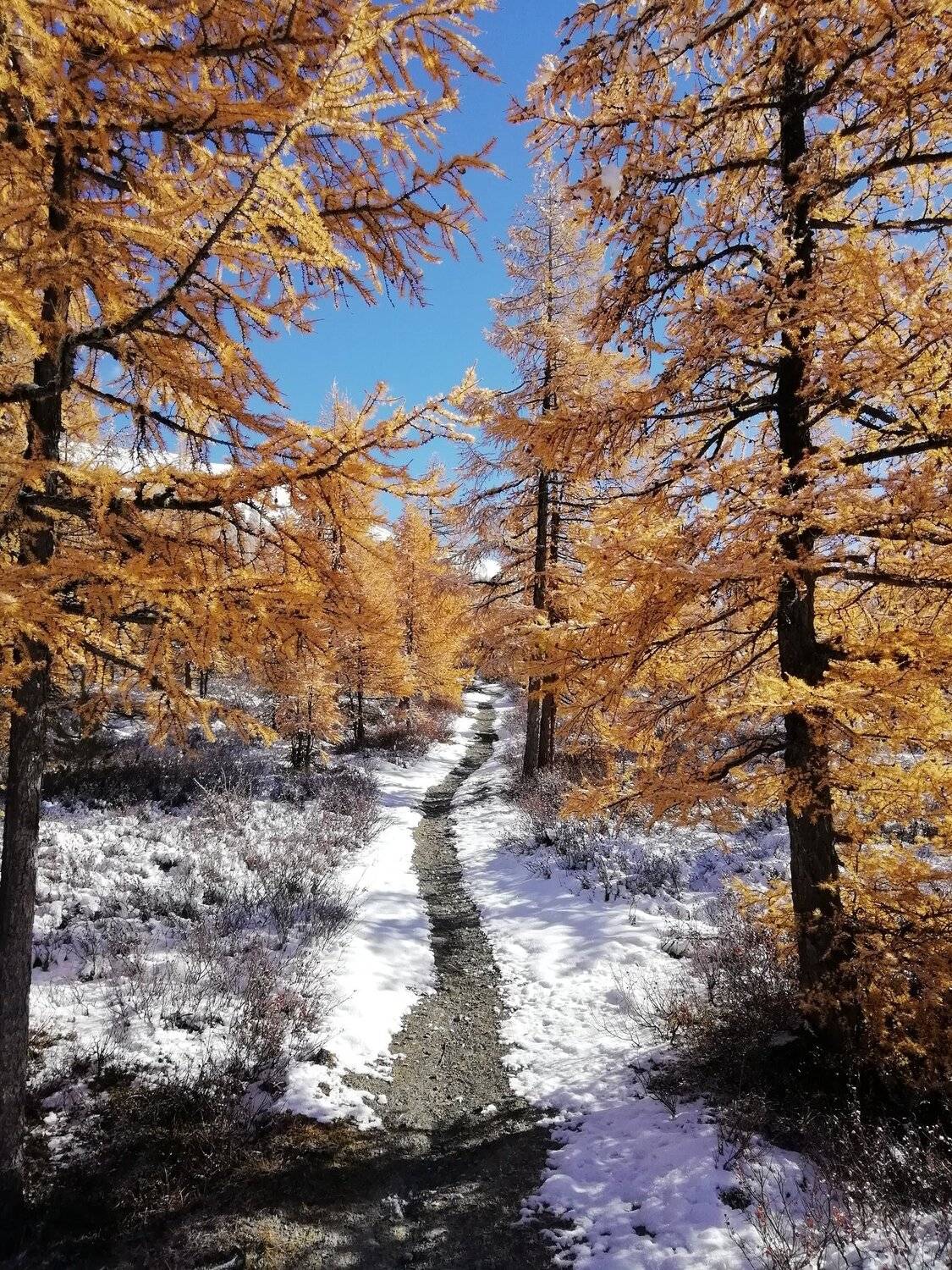 Осень Белуха