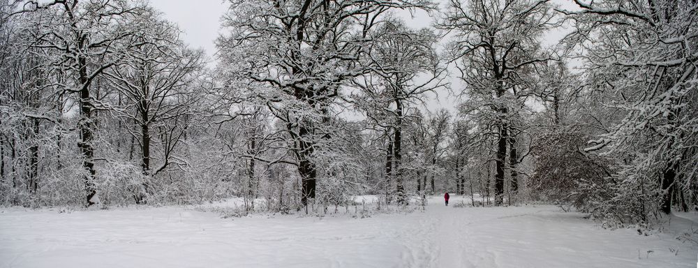 Зимняя сказка