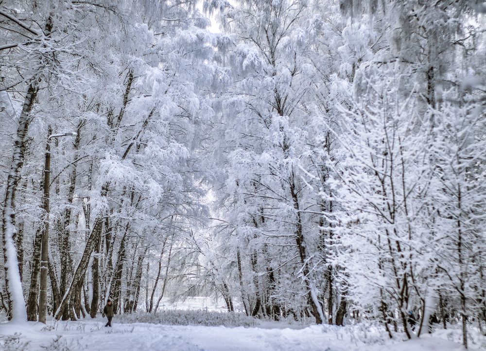 Под сенью Зимы