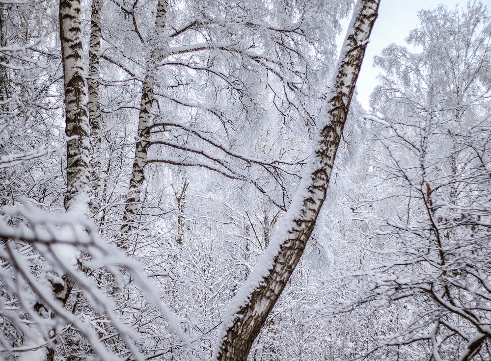 Русская зима