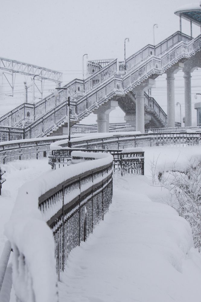 Зима пришла