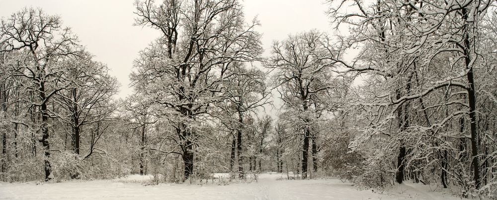 Зимняя графика