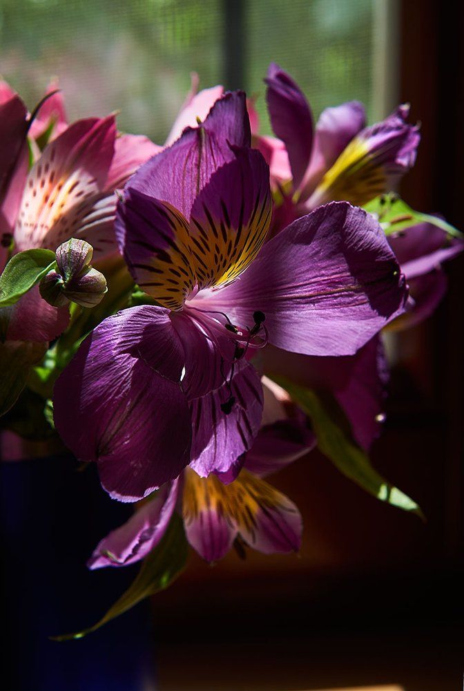 Подоконник