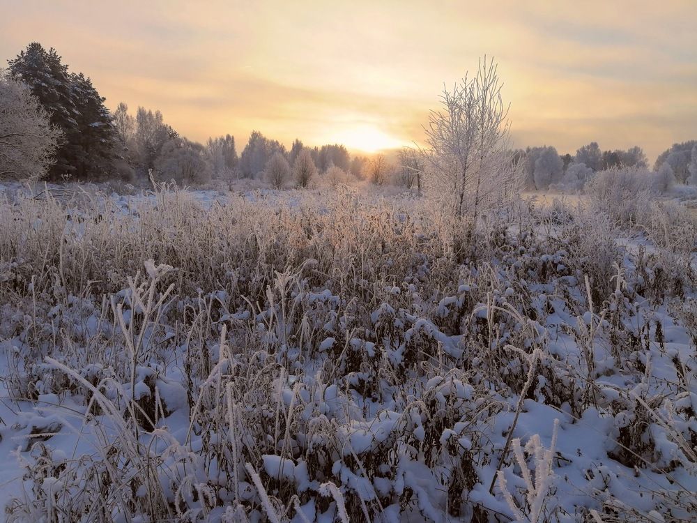 Зима в Подмосковье.