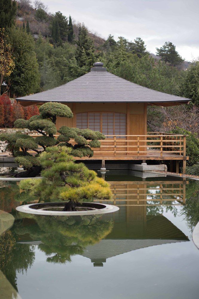 Photograph by Елена Шпагина