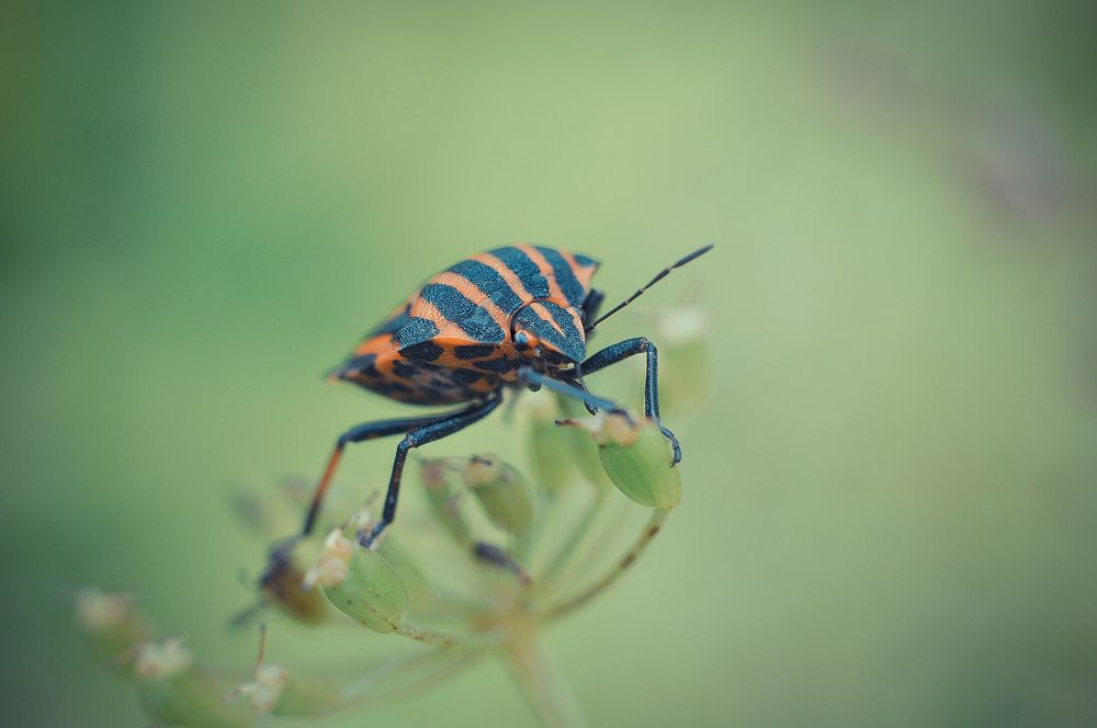 Photograph by Олеся zme