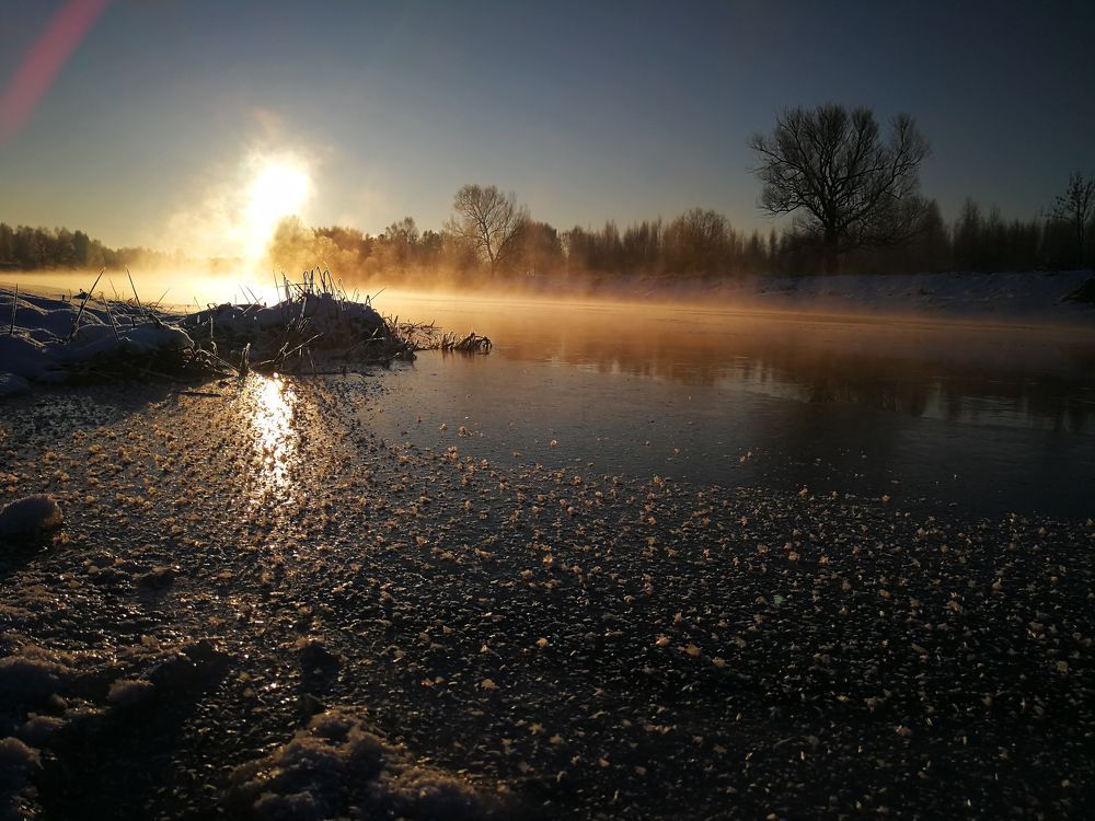 Молчаливое противостояние