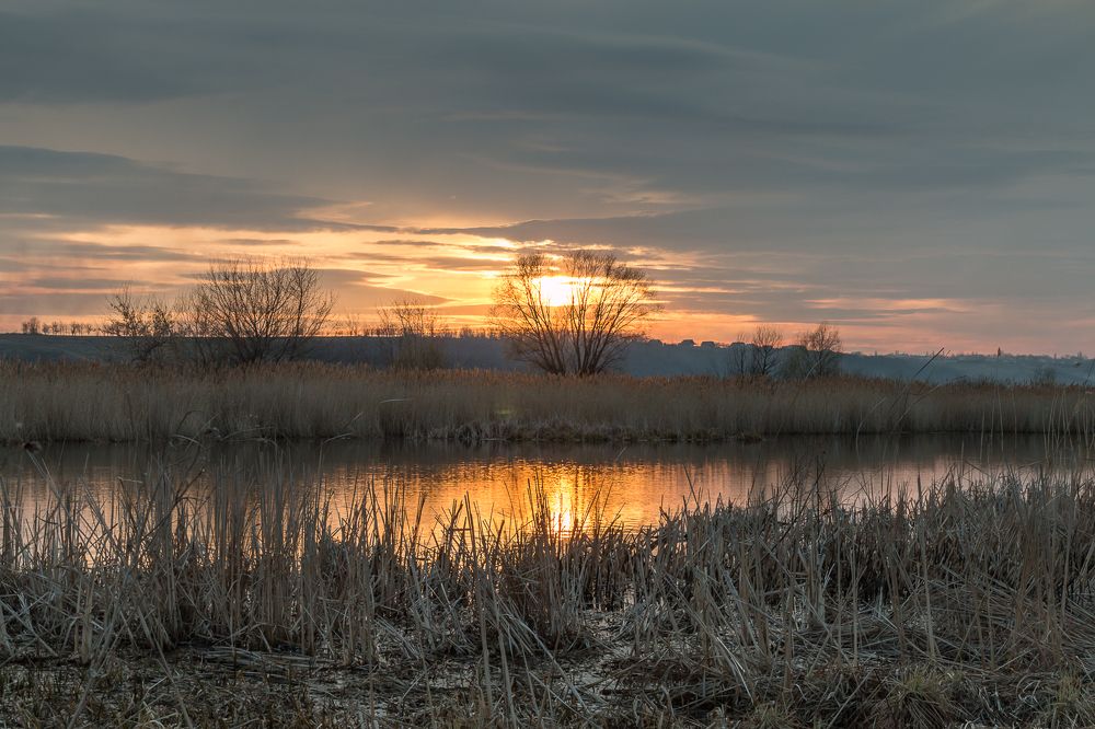 Photograph by Роман Дергунов