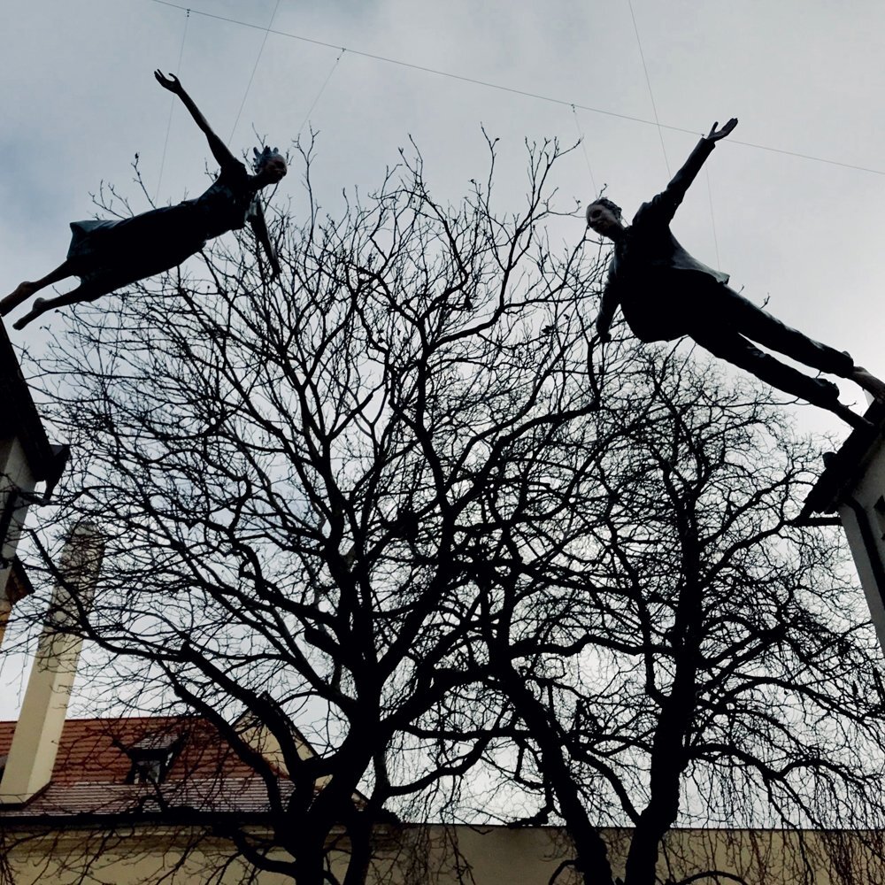 Photo #2801795