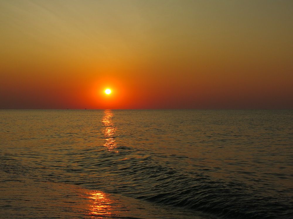 Волна на солнечной дорожке.Рассвет.