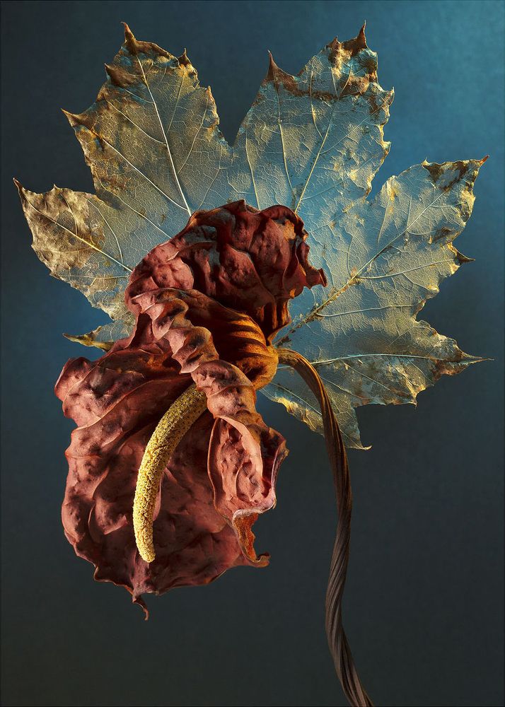 Regeneration of a Dynamic Life