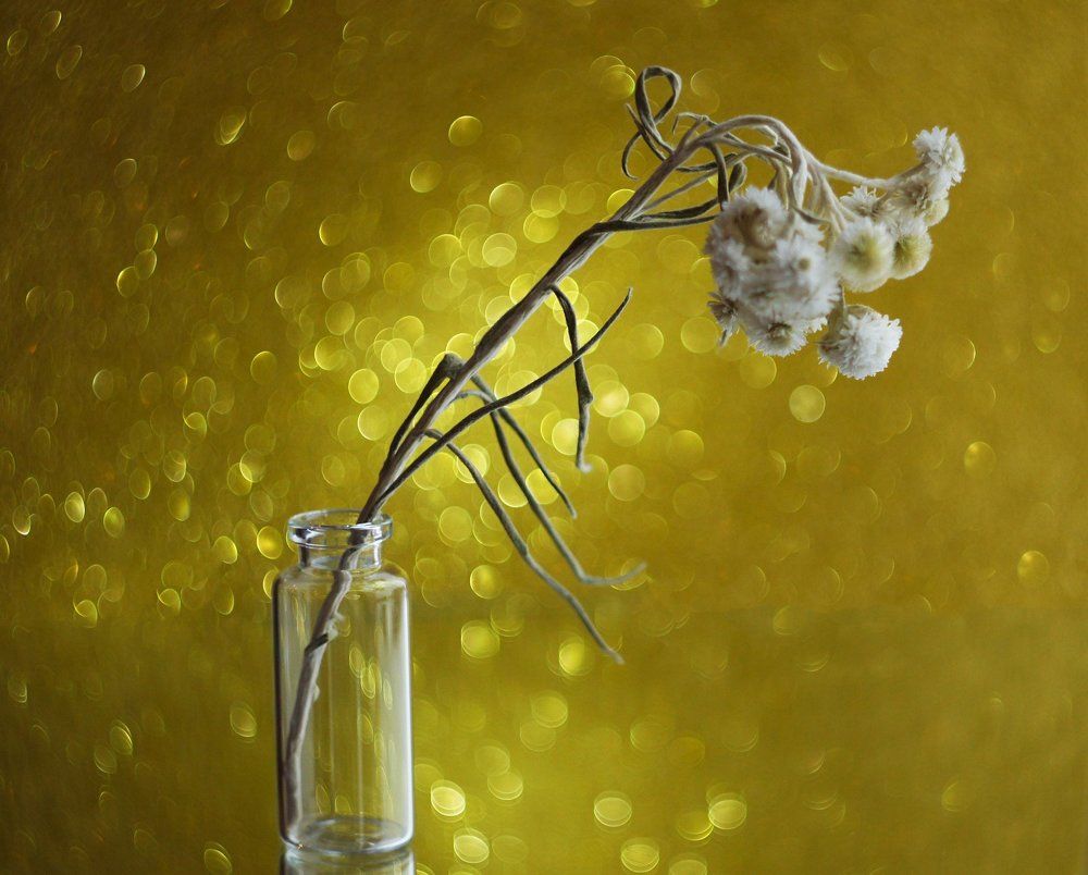 Photograph by Мария Загоревская