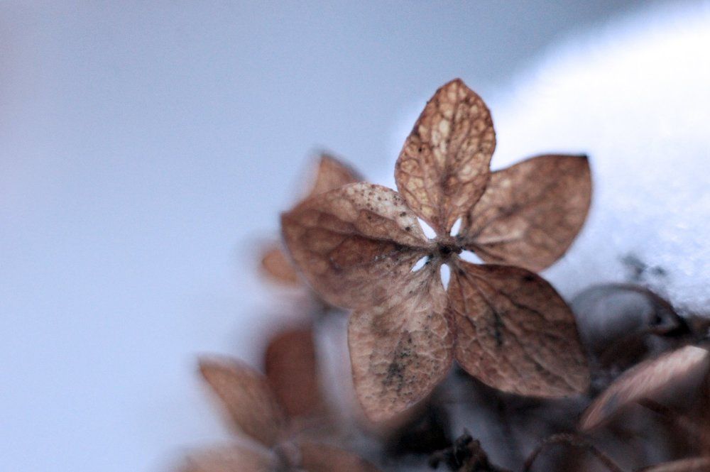 Photograph by Мария Загоревская