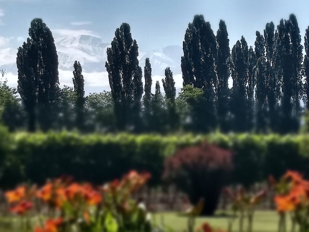 Our mountain