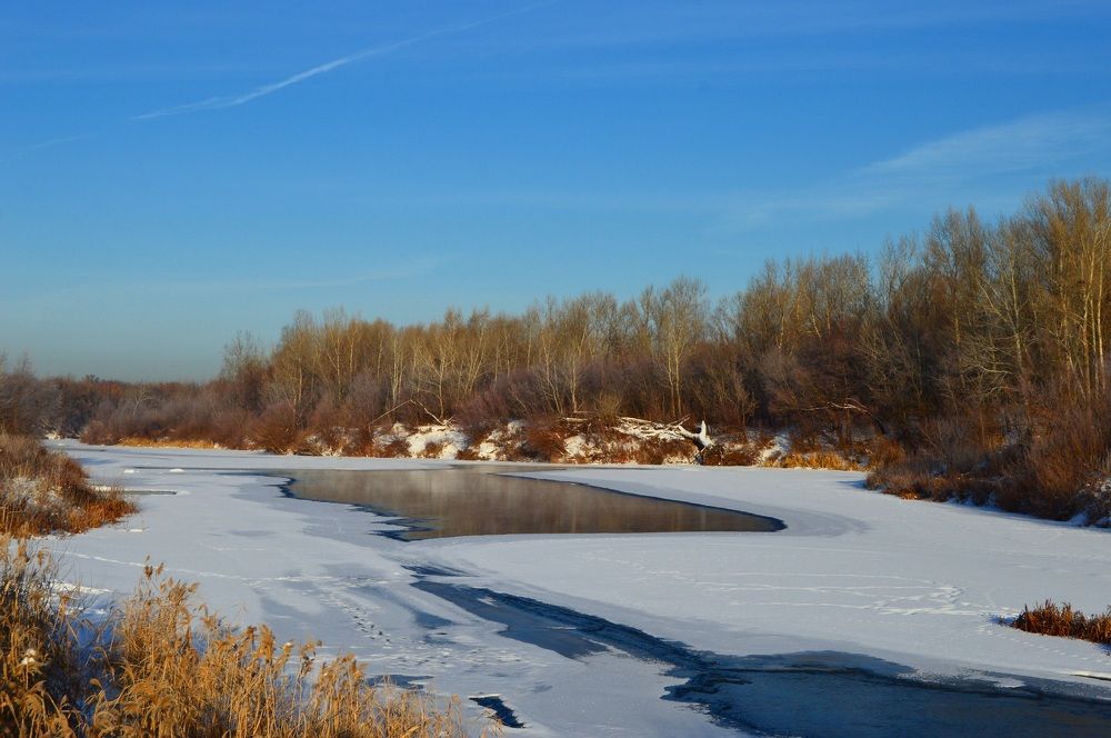 Зимний пейзаж