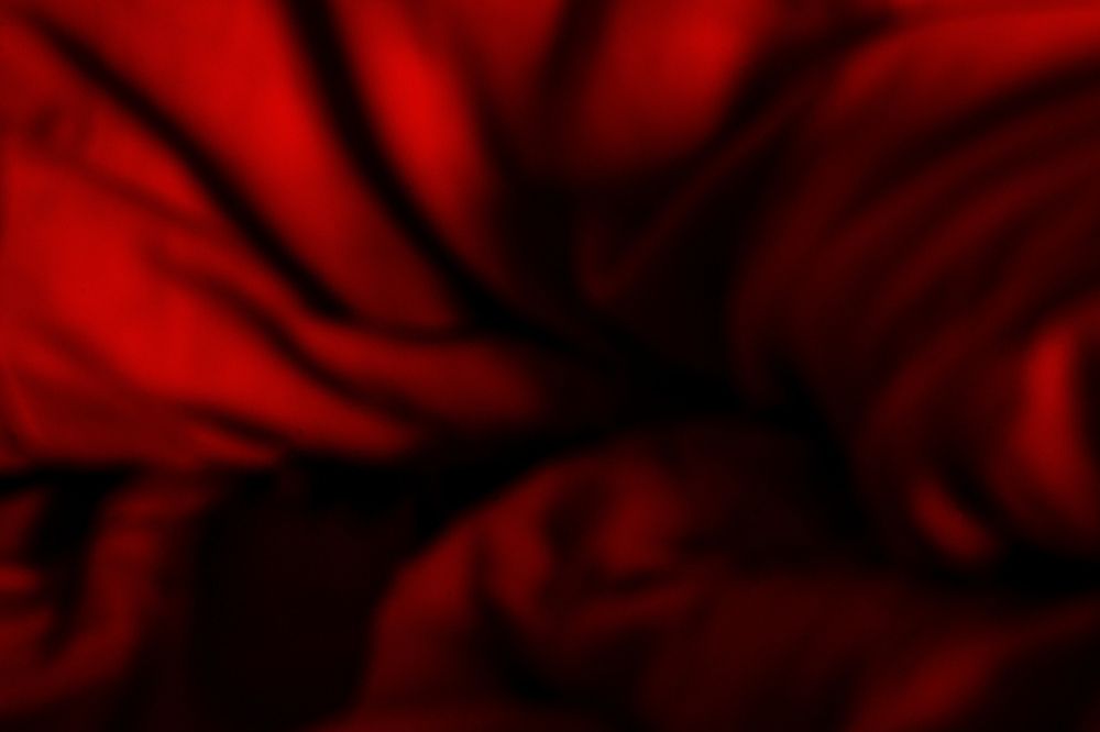 Tribute to Georgia O'Keeffe