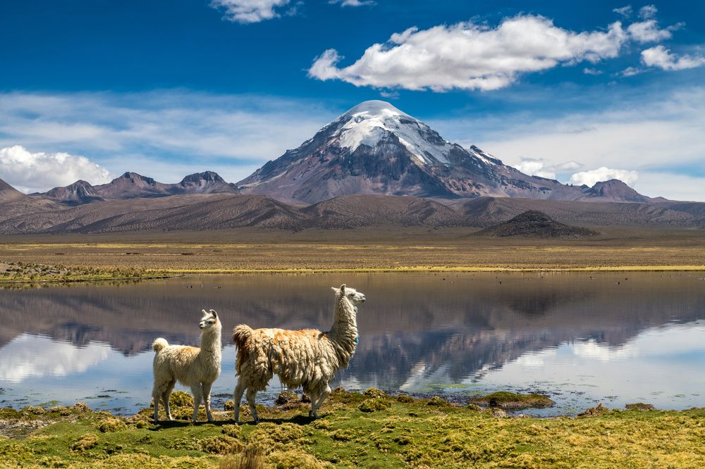 Мама, мама. нас снимают!