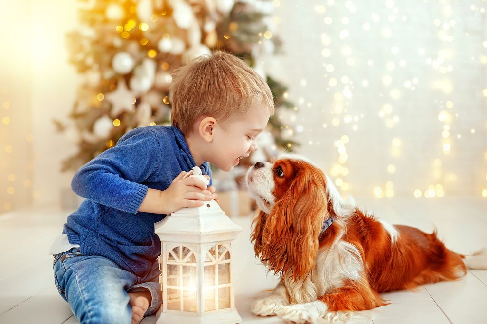 Photograph by Каро Анжелика